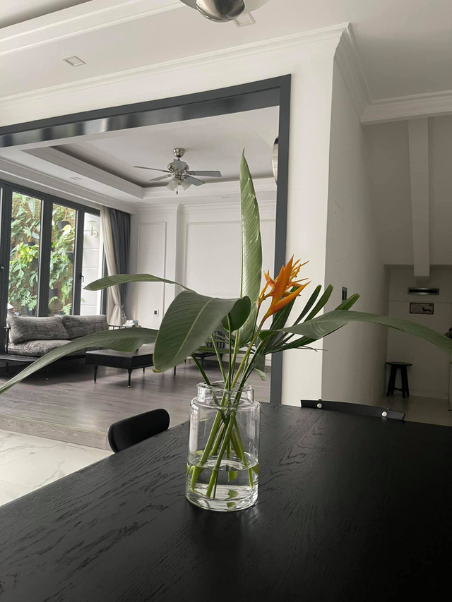 Nhà phố với giàn cây thẳng đứng, hoa trái quanh năm rực rỡ - Hình 17 Nha pho voi gian cay thang dung, hoa trai quanh nam ruc ro-Hinh-17