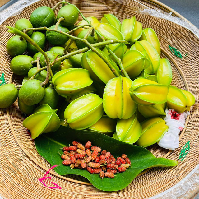 Nhà phố với giàn cây thẳng đứng, hoa trái quanh năm rực rỡ - Hình 13 Nha pho voi gian cay thang dung, hoa trai quanh nam ruc ro-Hinh-13