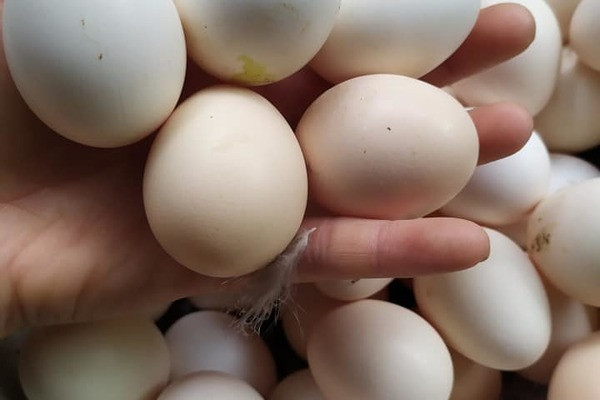 Cách đi chợ đầu mối, một triệu đủ đồ ăn cả tuần cho 6 người - Hình 2 Cach di cho dau moi, mot trieu du do an ca tuan cho 6 nguoi-Hinh-2