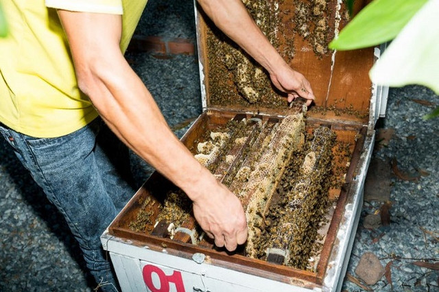 Ra đảo lập nghiệp sau một lần đi du lịch, 9x thu về hàng tỷ đồng Ra dao lap nghiep sau mot lan di du lich, 9x thu ve hang ty dong