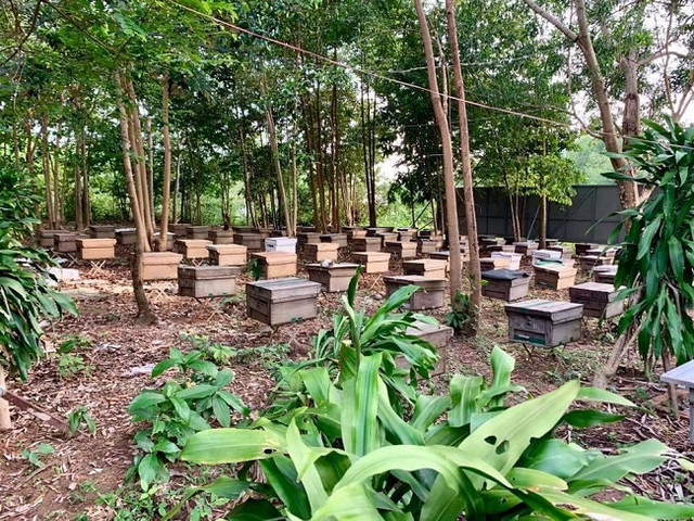 Ra đảo lập nghiệp sau một lần đi du lịch, 9x thu về hàng tỷ đồng - Hình 2 Ra dao lap nghiep sau mot lan di du lich, 9x thu ve hang ty dong-Hinh-2