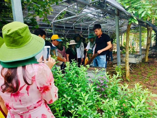 Ra đảo lập nghiệp sau một lần đi du lịch, 9x thu về hàng tỷ đồng - Hình 3 Ra dao lap nghiep sau mot lan di du lich, 9x thu ve hang ty dong-Hinh-3