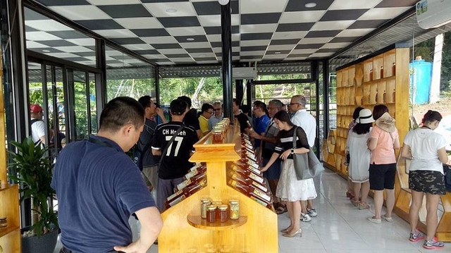 Ra đảo lập nghiệp sau một lần đi du lịch, 9x thu về hàng tỷ đồng - Hình 5 Ra dao lap nghiep sau mot lan di du lich, 9x thu ve hang ty dong-Hinh-5