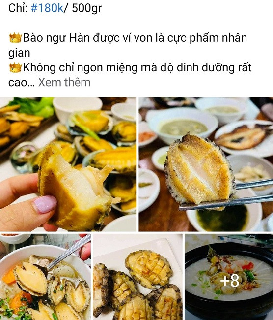 Thực hư bào ngư Hàn Quốc giá rẻ như rau bán đầy chợ mạng Thuc hu bao ngu Han Quoc gia re nhu rau ban day cho mang