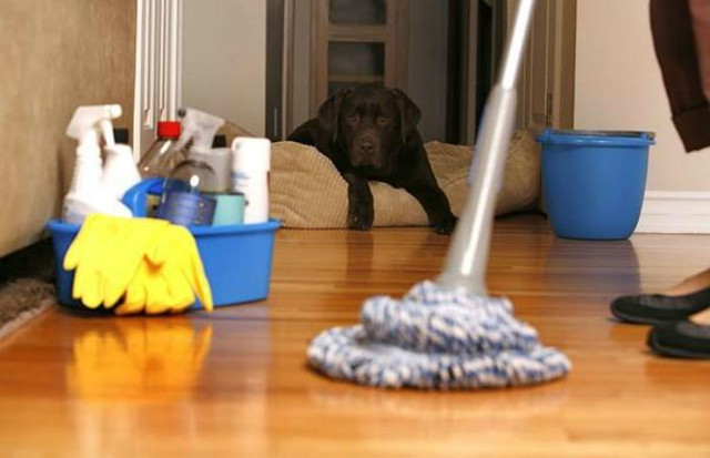 Dọn nhà cuối năm cần làm theo thứ tự này để tránh xui xẻo Don nha cuoi nam can lam theo thu tu nay de tranh xui xeo