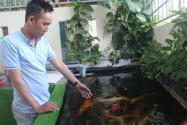 Trào lưu chơi thú cưng độc, lạ ở Long An Trao luu choi thu cung doc, la o Long An