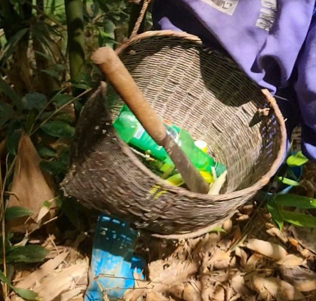 Đi tìm lộc rừng vào mùa mưa, người dân vùng núi kiếm tiền triệu mỗi ngày Di tim loc rung vao mua mua, nguoi dan vung nui kiem tien trieu moi ngay