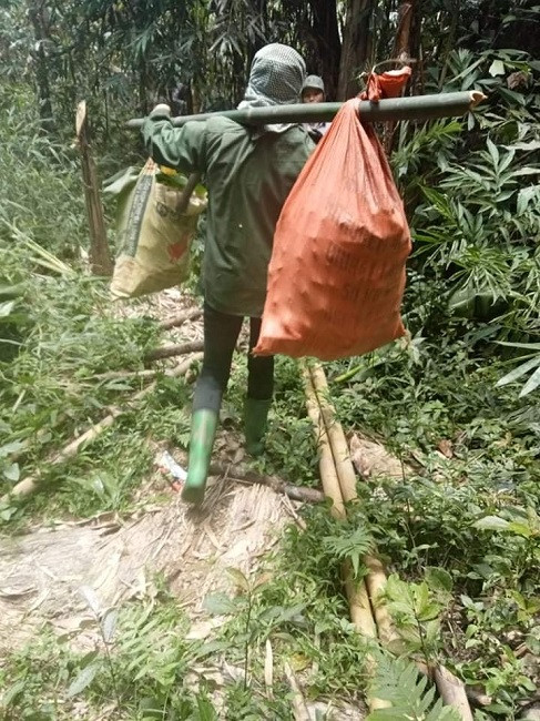 Đi tìm lộc rừng vào mùa mưa, người dân vùng núi kiếm tiền triệu mỗi ngày - Hình 4 Di tim loc rung vao mua mua, nguoi dan vung nui kiem tien trieu moi ngay-Hinh-4