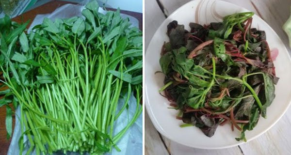 6 loại rau không nên luộc vì mất hết chất dinh dưỡng, sinh độc tố - Hình 2 6 loai rau khong nen luoc vi mat het chat dinh duong, sinh doc to-Hinh-2