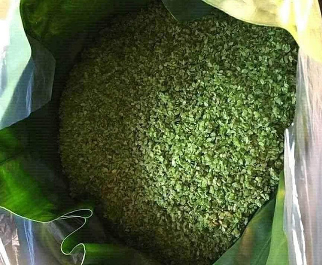 Mất giá một nửa, cốm nếp nương đầu mùa rẻ chưa từng có - Hình 3 Mat gia mot nua, com nep nuong dau mua re chua tung co-Hinh-3