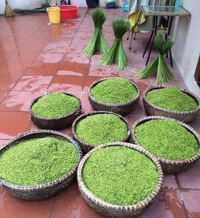 Mất giá một nửa, cốm nếp nương đầu mùa rẻ chưa từng có - Hình 2 Mat gia mot nua, com nep nuong dau mua re chua tung co-Hinh-2