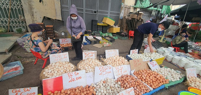 500 nghìn mua được thức ăn cả tuần, người dân đổ xô đi chợ đầu mối - Hình 3 500 nghin mua duoc thuc an ca tuan, nguoi dan do xo di cho dau moi-Hinh-3