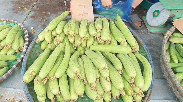 500 nghìn mua được thức ăn cả tuần, người dân đổ xô đi chợ đầu mối - Hình 6 500 nghin mua duoc thuc an ca tuan, nguoi dan do xo di cho dau moi-Hinh-6