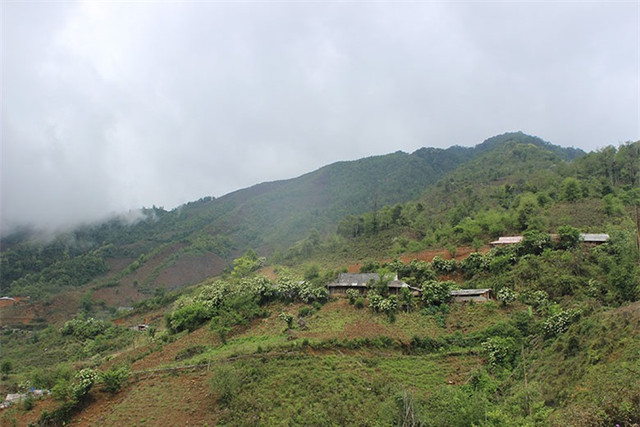Vùng cao Háng Đồng: điểm đến du lịch hoang sơ đầy hấp dẫn - Hình 4 Vung cao Hang Dong: diem den du lich hoang so day hap dan-Hinh-4