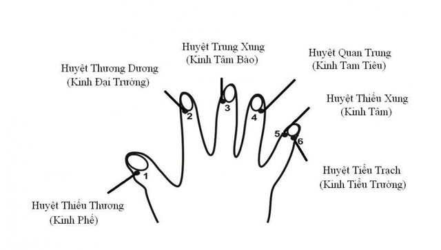 Nắm chặt ngón tay 5 giây, biết ngay lục phủ ngũ tạng có bệnh hay không - Hình 3 Nam chat ngon tay 5 giay, biet ngay luc phu ngu tang co benh hay khong-Hinh-3