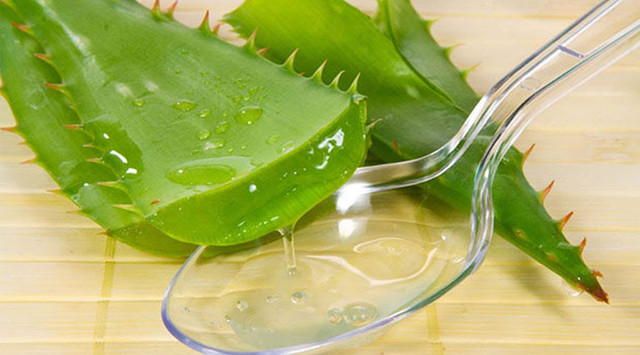 Công thức làm trắng da với nha đam ai cũng làm được Cong thuc lam trang da voi nha dam ai cung lam duoc