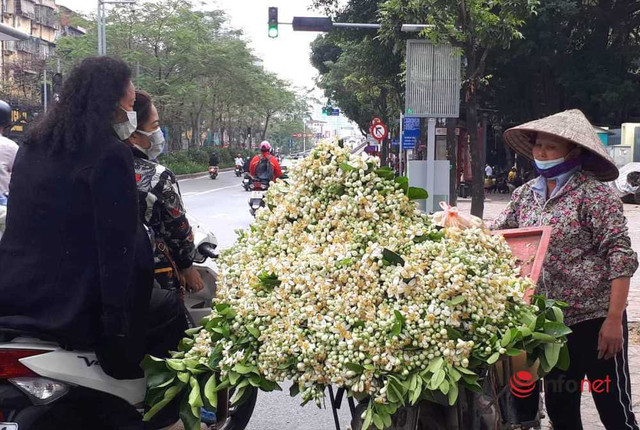 Chủ sạp bỏ quả bán hàng chục cân hoa bưởi, thu tiền triệu mỗi ngày Chu sap bo qua ban hang chuc can hoa buoi, thu tien trieu moi ngay