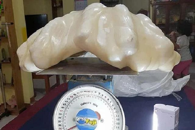 Ngư dân vứt báu vật siêu to khổng lồ vào gầm giường suốt 10 năm Ngu dan vut bau vat sieu to khong lo vao gam giuong suot 10 nam