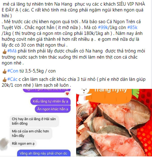 Loại cá từng tiến Vua ở Việt Nam đang được bán với giá siêu rẻ - Hình 3 Loai ca tung tien Vua o Viet Nam dang duoc ban voi gia sieu re-Hinh-3