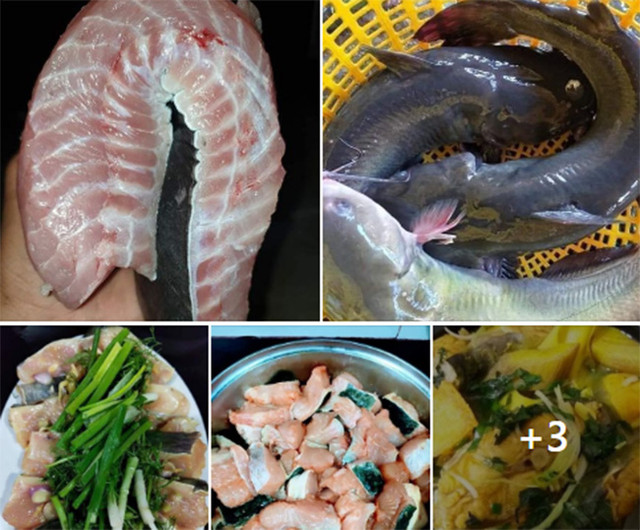 Loại cá từng tiến Vua ở Việt Nam đang được bán với giá siêu rẻ - Hình 4 Loai ca tung tien Vua o Viet Nam dang duoc ban voi gia sieu re-Hinh-4