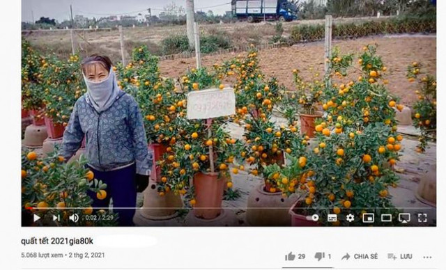 Tiểu thương đua nhau livestream rao bán cây lạ - Hình 2 Tieu thuong dua nhau livestream rao ban cay la-Hinh-2