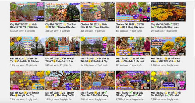 Tiểu thương đua nhau livestream rao bán cây lạ - Hình 3 Tieu thuong dua nhau livestream rao ban cay la-Hinh-3
