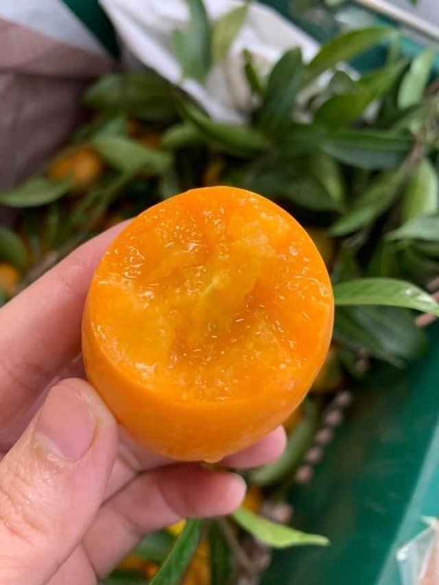 Thanh trà Thái giá rẻ bất ngờ, hóa ra hàng nhà thanh trà miền Tây - Hình 3 Thanh tra Thai gia re bat ngo, hoa ra hang nha thanh tra mien Tay-Hinh-3
