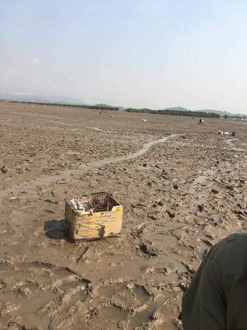 Thất nghiệp vì Covid-19: Lễ tân du thuyền hạng sang đi mò cua bắt ốc - Hình 3 That nghiep vi Covid-19: Le tan du thuyen hang sang di mo cua bat oc-Hinh-3