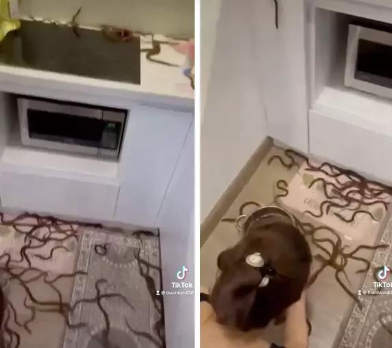 Bố mẹ "mời" gái đoảng ra khỏi nhà sau màn nướng cá lóc nguyên con - Hình 4 Bo me