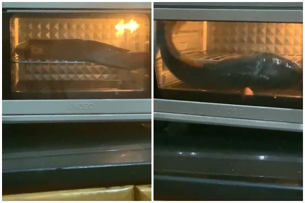 Bố mẹ "mời" gái đoảng ra khỏi nhà sau màn nướng cá lóc nguyên con Bo me