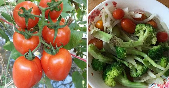 Đem cà chua nấu với 2 thứ này, vừa ngon lại bổ hơn nhân sâm Dem ca chua nau voi 2 thu nay, vua ngon lai bo hon nhan sam