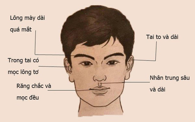 Đàn ông quý tướng làm quan, phụ nữ lấy được hưởng phước một đời - Hình 2 Dan ong quy tuong lam quan, phu nu lay duoc huong phuoc mot doi-Hinh-2