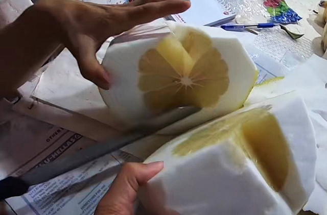 Dân mạng xôn xao loại bưởi lạ to như quả bí khổng lồ - Hình 7 Dan mang xon xao loai buoi la to nhu qua bi khong lo-Hinh-7