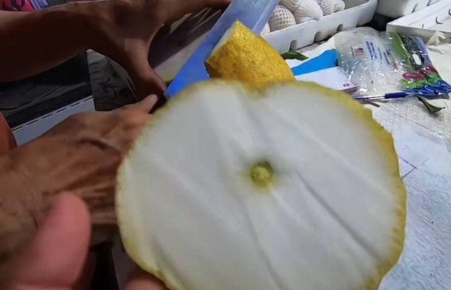 Dân mạng xôn xao loại bưởi lạ to như quả bí khổng lồ - Hình 5 Dan mang xon xao loai buoi la to nhu qua bi khong lo-Hinh-5