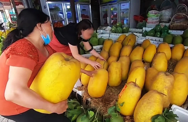 Dân mạng xôn xao loại bưởi lạ to như quả bí khổng lồ Dan mang xon xao loai buoi la to nhu qua bi khong lo