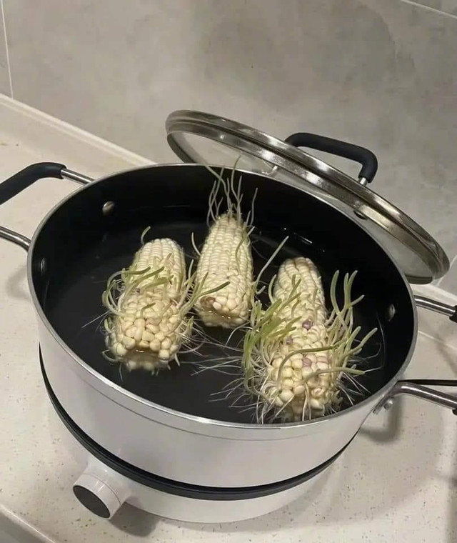 Bỏ quên bắp trong nồi và loạt rau củ "đột biến" chỉ tại não cá vàng Bo quen bap trong noi va loat rau cu