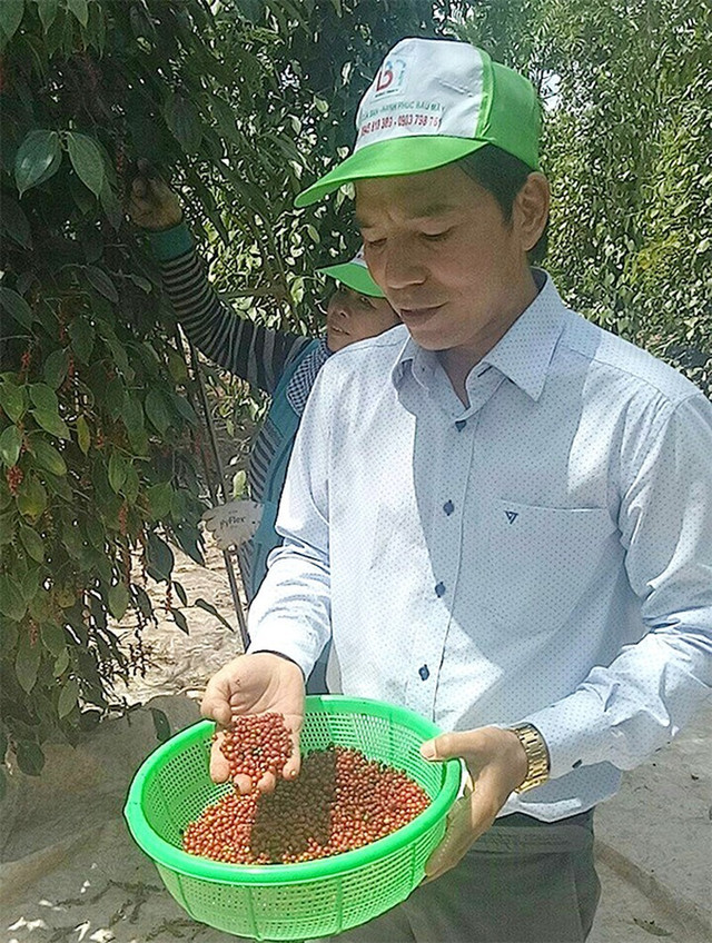 Bất ngờ với nước mắm siêu đắt, tiêu 22 triệu đồng/kg - Hình 4 Bat ngo voi nuoc mam sieu dat, tieu 22 trieu dong/kg-Hinh-4