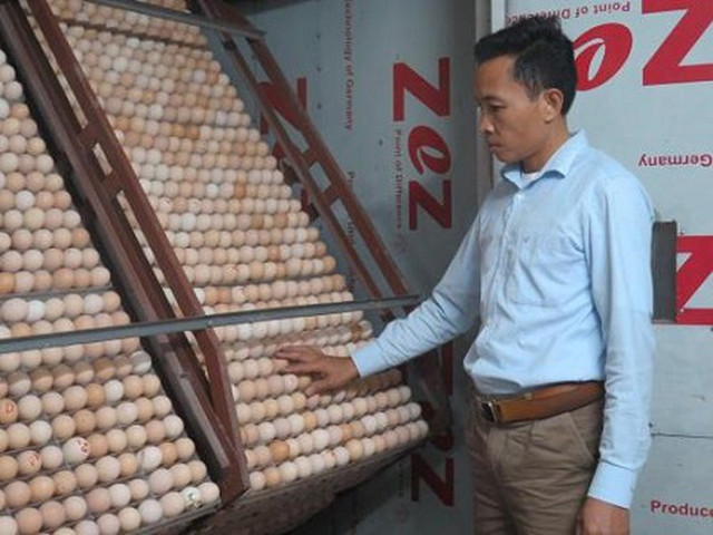 Người chăn nuôi khóc ròng vì đổ cả vạn con gà xuống ao cho cá ăn - Hình 2 Nguoi chan nuoi khoc rong vi do ca van con ga xuong ao cho ca an-Hinh-2