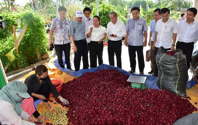 Trồng cây lạ chơi hoa, sau vài năm nhân giống người dân thu hàng trăm triệu - Hình 2 Trong cay la choi hoa, sau vai nam nhan giong nguoi dan thu hang tram trieu-Hinh-2