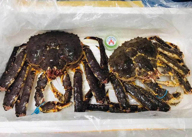 Hết thời siêu rẻ, cua Hoàng đế tăng giá dựng ngược - Hình 2 Het thoi sieu re, cua Hoang de tang gia dung nguoc-Hinh-2