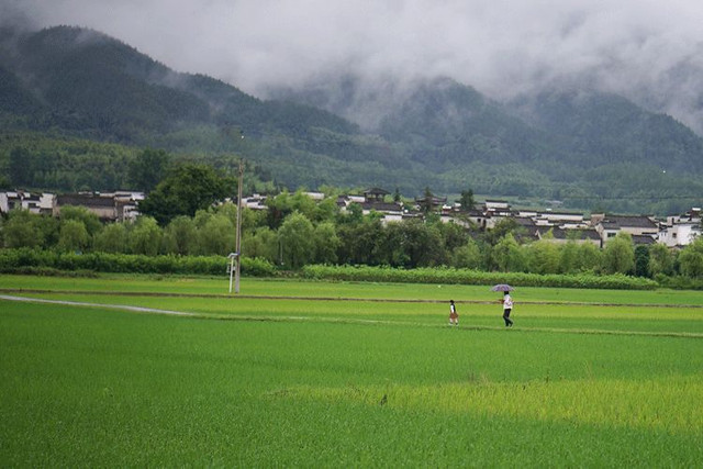 Bỏ việc lương cao, cô gái trẻ về quê kiếm tiền tỷ đều tay - Hình 6 Bo viec luong cao, co gai tre ve que kiem tien ty deu tay-Hinh-6