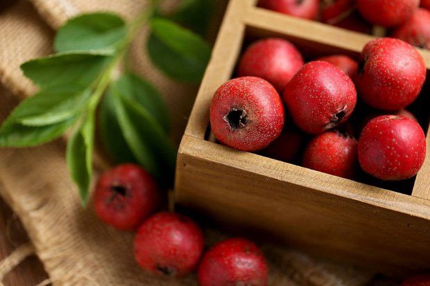 4 loại thực phẩm giàu dinh dưỡng, giúp chị em ngày Tết không tăng cân - Hình 3 4 loai thuc pham giau dinh duong, giup chi em ngay Tet khong tang can-Hinh-3