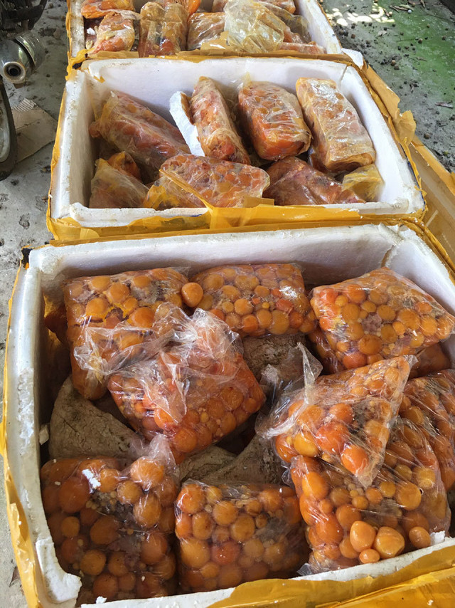 Hàng tấn trứng gà non hôi thối tuồn vào nhà hàng Hang tan trung ga non hoi thoi tuon vao nha hang