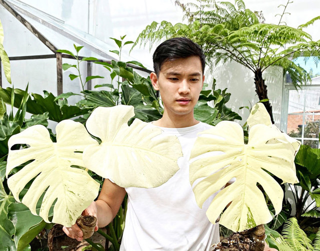 Kho 5 vạn cổ vật khiến đại gia thèm muốn - Hình 2 Kho 5 van co vat khien dai gia them muon-Hinh-2