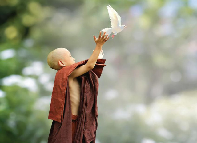 5 việc chớ làm để tạo phúc cho đời sau, cuộc sống ngày càng hạnh phúc - Hình 2 5 viec cho lam de tao phuc cho doi sau, cuoc song ngay cang hanh phuc-Hinh-2