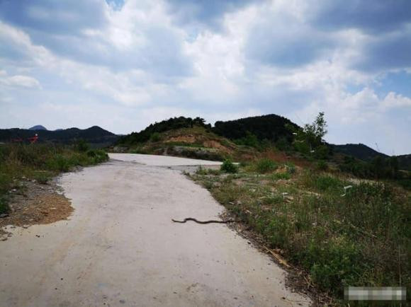 Ra ngoài gặp 5 điều dù không có tai họa cũng sẽ gặp tai họa - Hình 4 Ra ngoai gap 5 dieu du khong co tai hoa cung se gap tai hoa-Hinh-4