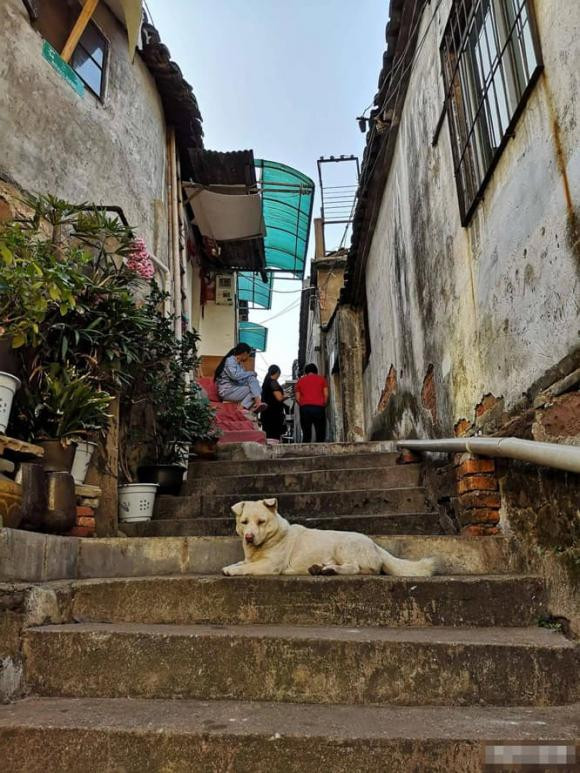 Ra ngoài gặp 5 điều dù không có tai họa cũng sẽ gặp tai họa - Hình 2 Ra ngoai gap 5 dieu du khong co tai hoa cung se gap tai hoa-Hinh-2