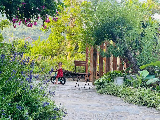 Ngắm khu vườn 300m2 ngập tràn hoa trái ở Hà Giang - Hình 3 Ngam khu vuon 300m2 ngap tran hoa trai o Ha Giang-Hinh-3