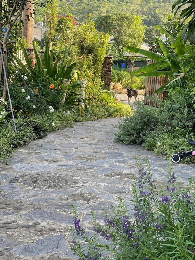 Ngắm khu vườn 300m2 ngập tràn hoa trái ở Hà Giang - Hình 2 Ngam khu vuon 300m2 ngap tran hoa trai o Ha Giang-Hinh-2