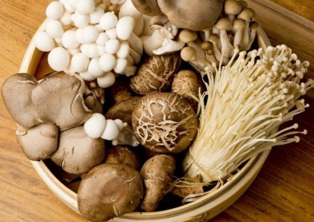 Những lưu ý ‘sống còn’ khi ăn nấm, nhớ cho kỹ kẻo ngộ độc Nhung luu y ‘song con’ khi an nam, nho cho ky keo ngo doc
